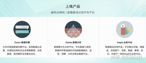 探码发展历程数据驱动软件智能的一体化解决方案服务商